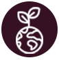 icone agronegocio – robson trindade